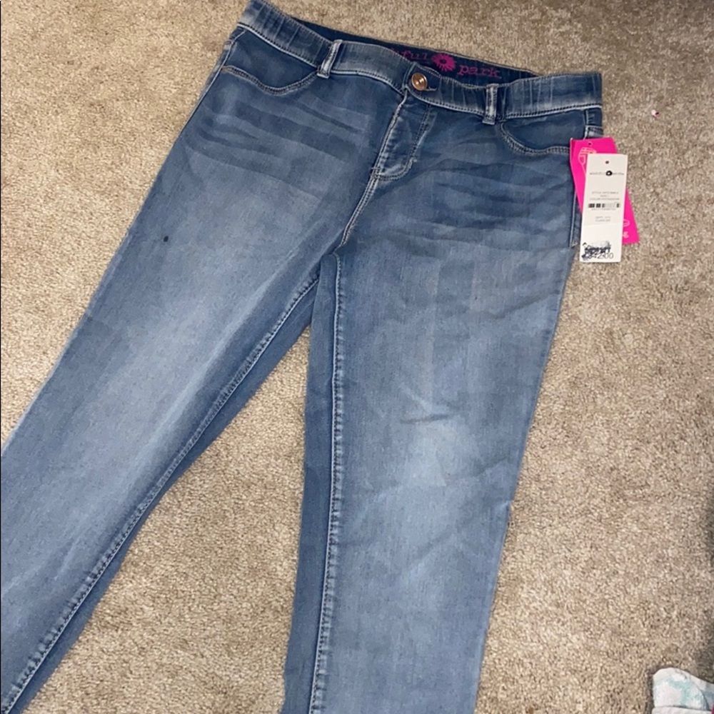 WISHFUL PARK SKINNY JEANS